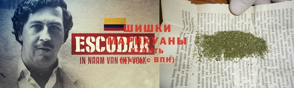 героин Пересвет