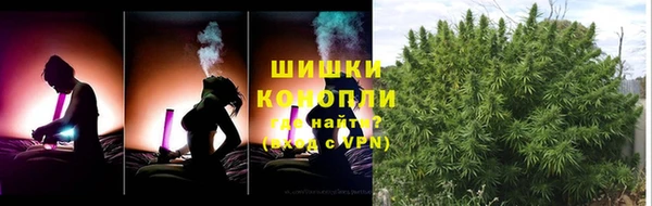 мдпв Переславль-Залесский