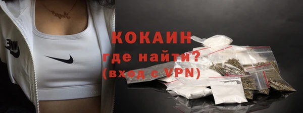 шишки Елабуга