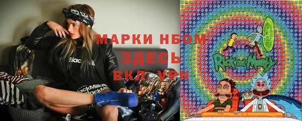 стаф Пестово