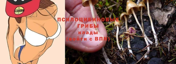 кокаин премиум Ельня