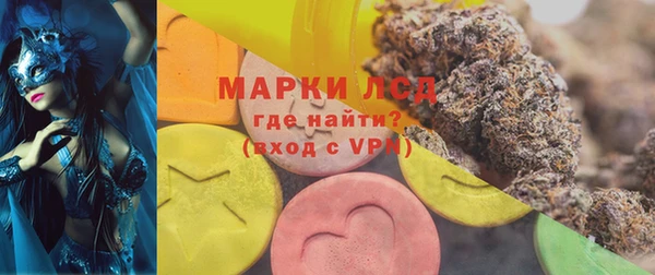 стаф Пестово