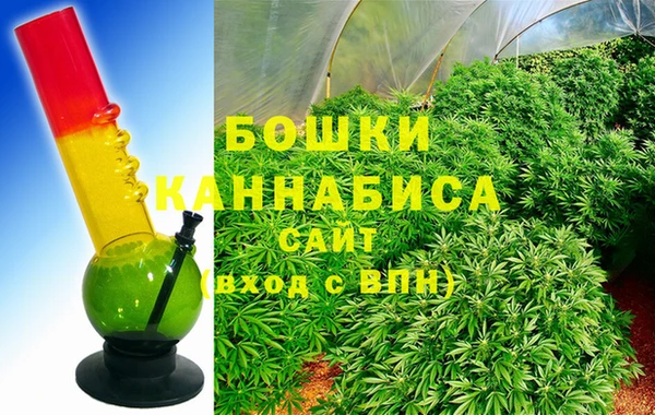 шишки Елабуга