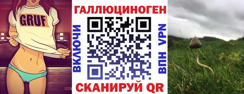 Псилоцибиновые грибы Magic Shrooms  как найти закладки  Протвино 