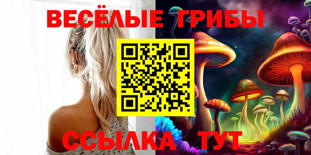 Галлюциногенные грибы Cubensis Протвино